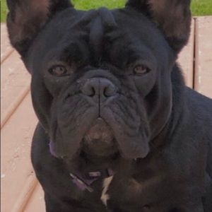 Meet your Posher, Janet